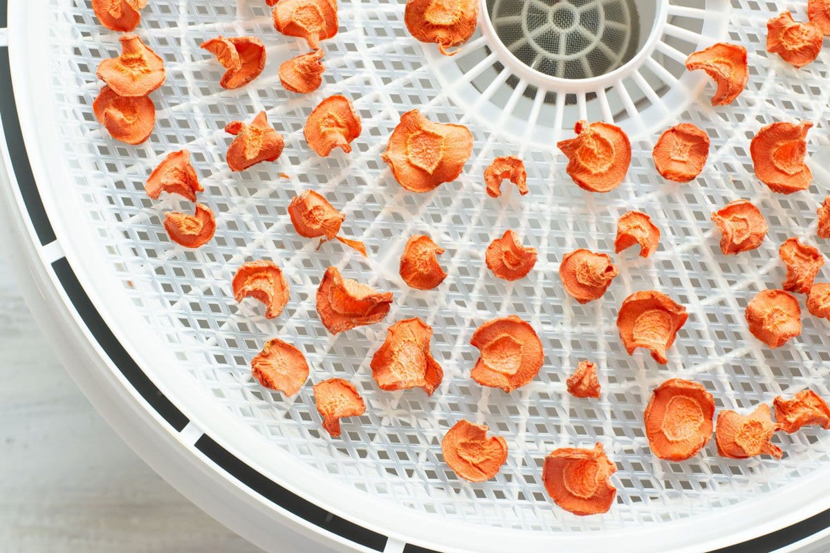 Dried carrot coins on a round dehydrator tray.