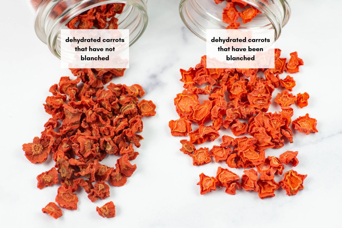 Side by side example of dehydrated carrots that have been blanched or not blanched.