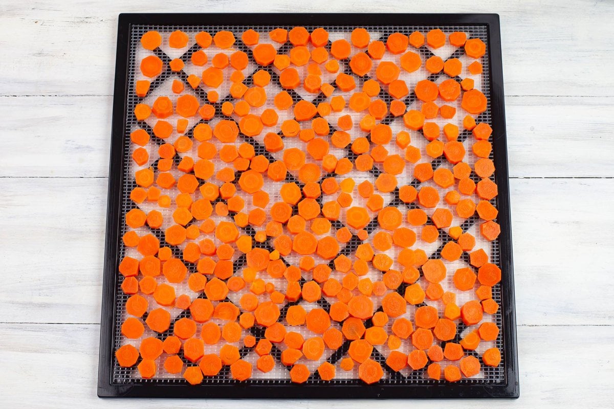 A square Excalibur dehydrator tray filled with sliced carrots.