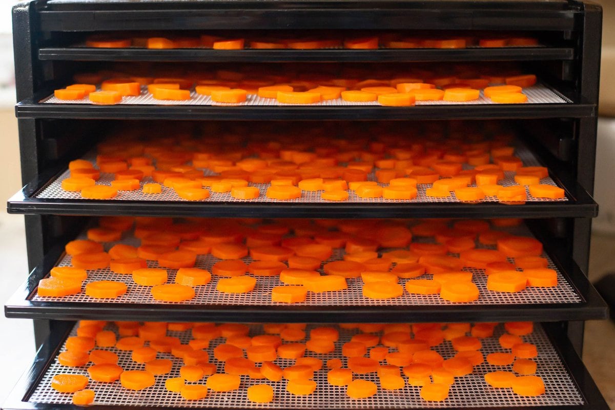 Square dehydrator with filled trays.