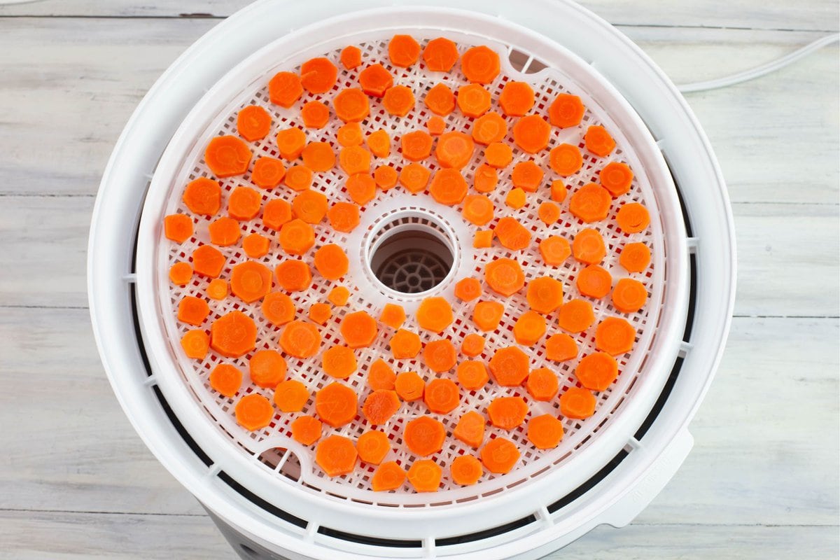 Round dehydrator tray filled with sliced carrots.