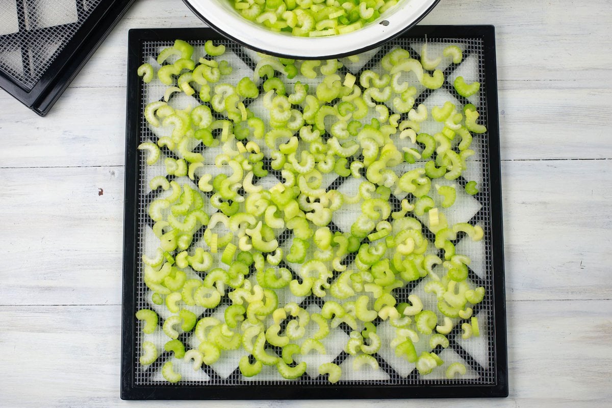 Raw slices of celery arranged on a dehydrator tray in a single layer.