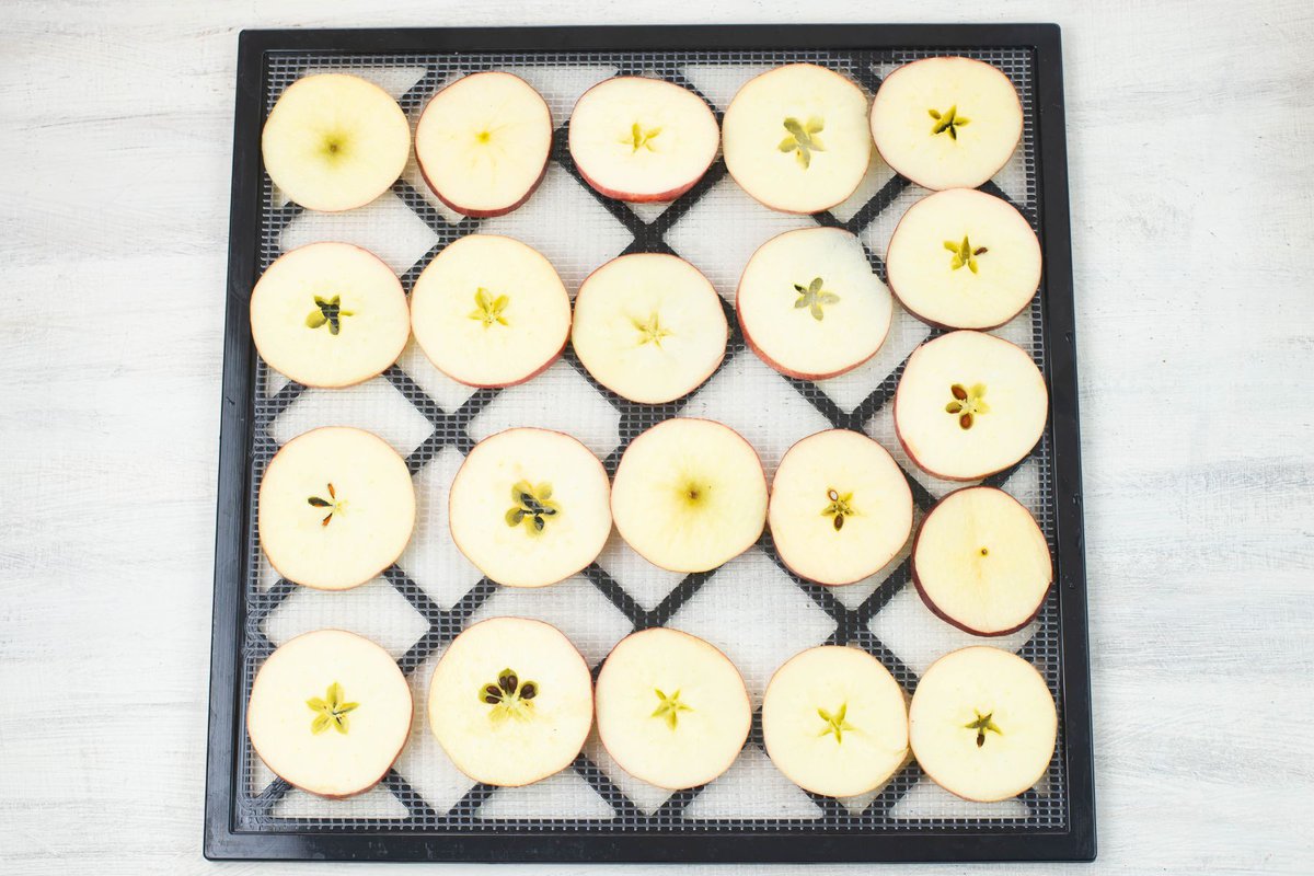 Thin sliced apples arranged on a square dehydrator tray.