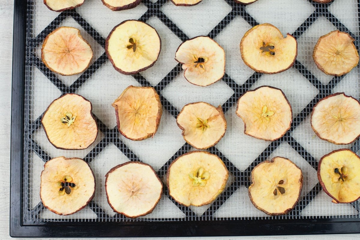 Dehydrated sliced apples on a square dehydrator tray.