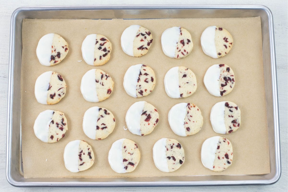 White chocolate dipped cranberry cookies on a baking sheet as the chocolate hardens.
