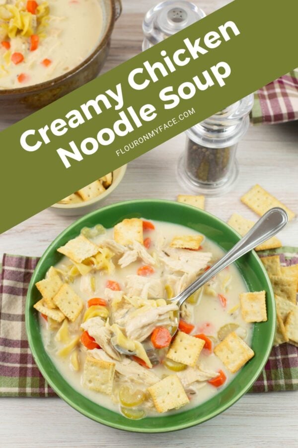 Crock Pot Creamy Chicken Noodle Soup - Flour On My Face