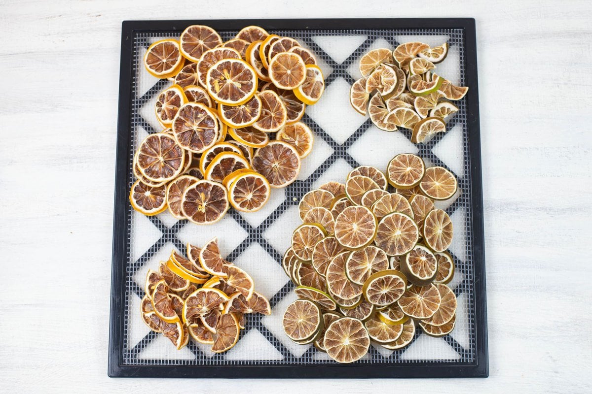 Dehydrated limes and lemons on a dehydrating tray.