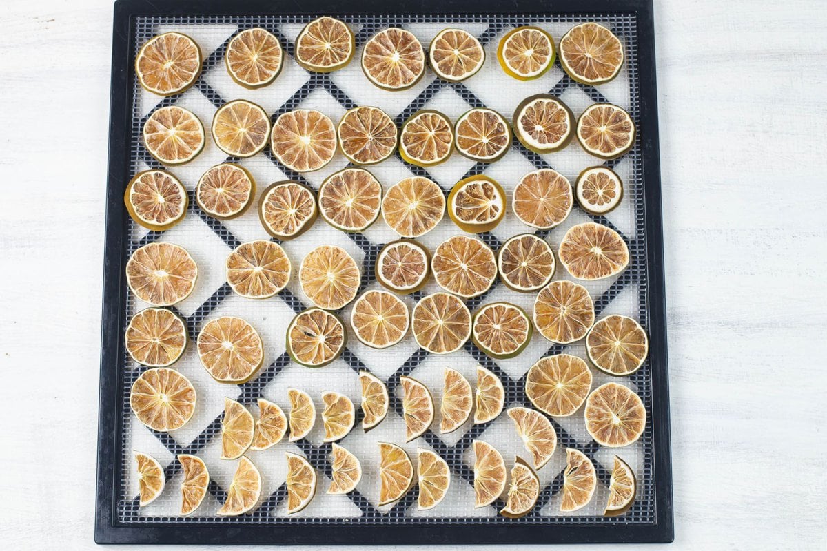 Dehydrated lime slices on a dehydrator tray.