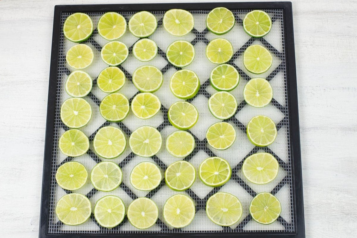 Lime slices arranged on a square dehydrator tray.
