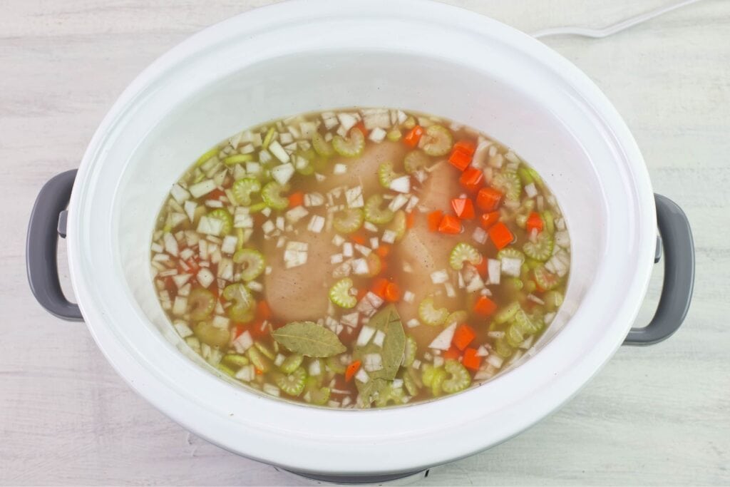 Crock Pot Chicken Pastina Soup Flour On My Face