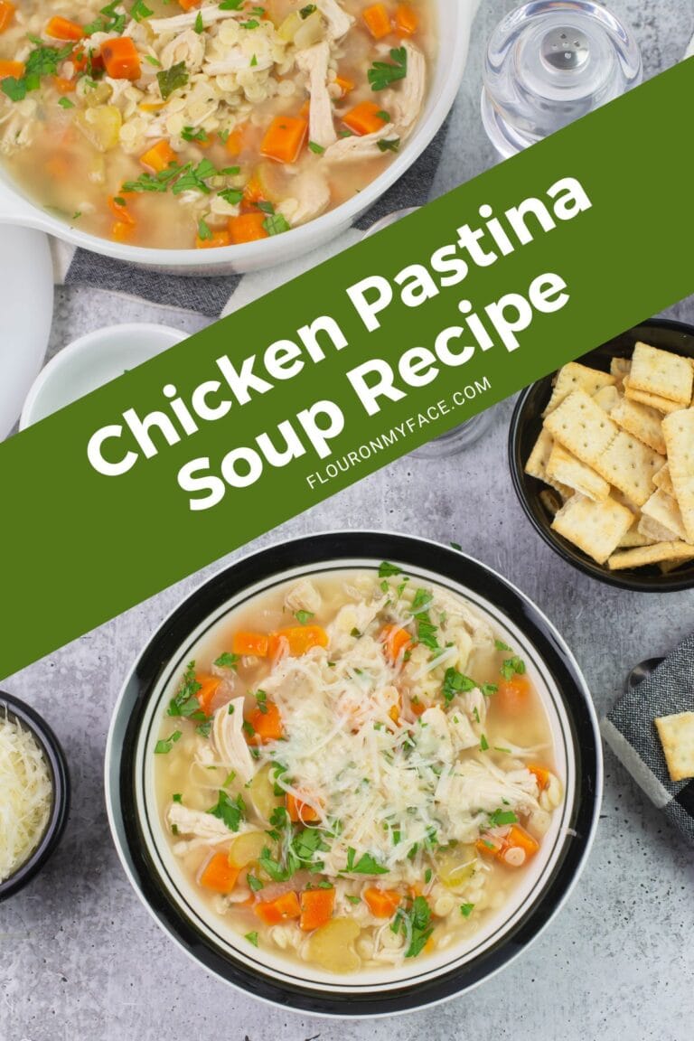 Crock Pot Chicken Pastina Soup Flour On My Face