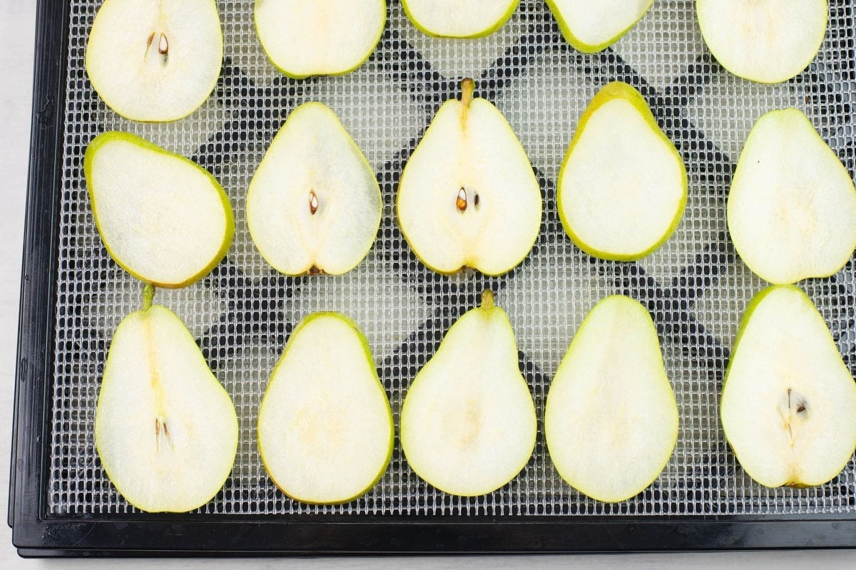 Sliced pears on a square dehydrator tray before they have been dried.