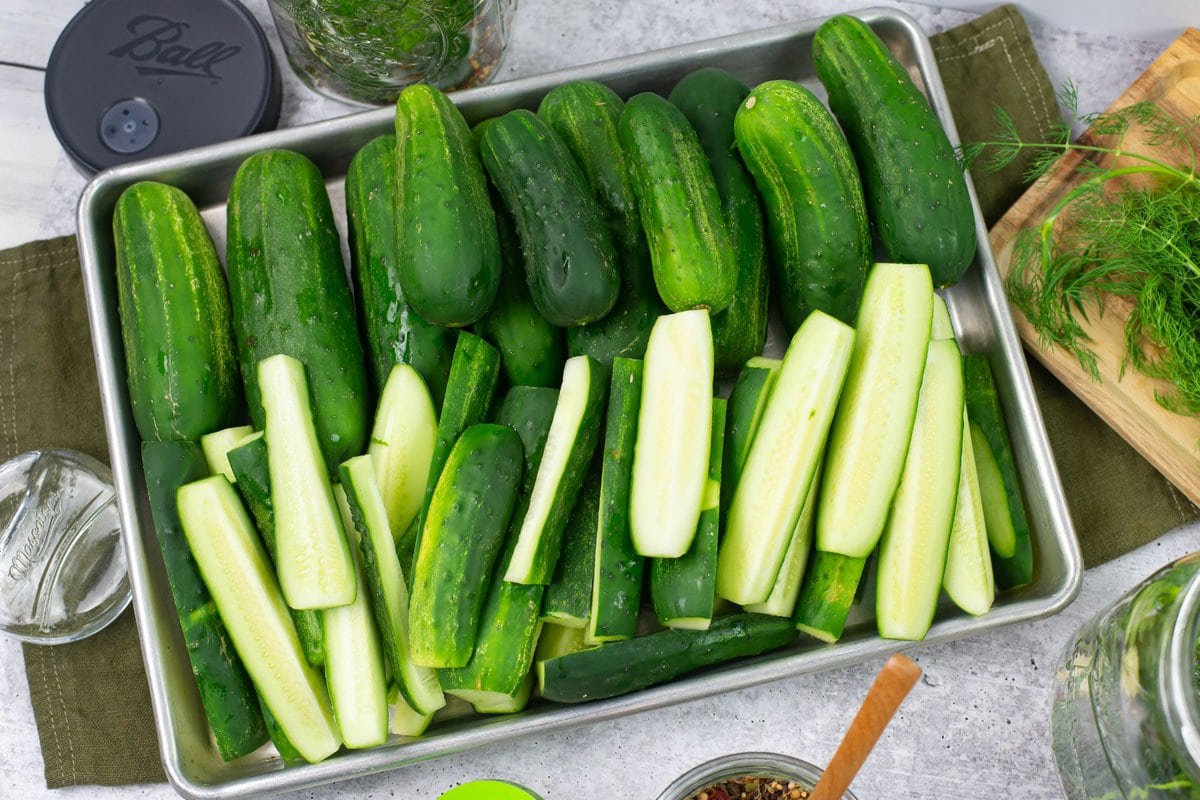 A tray filled with sliced pickling cucumbers ready for fermenting.