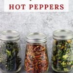 Three canning jars filled with dehydrated hot peppers.
