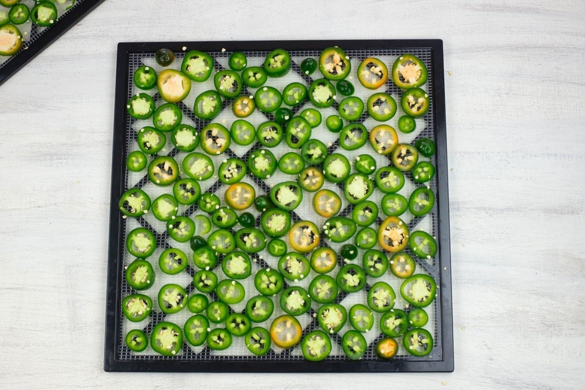 Thin sliced jalapeno rings arranged on a square dehydrator tray.