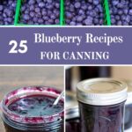 Collage for 25 Blueberry Canning recipes.