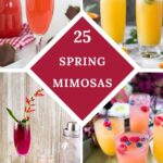 Long vertical collage image of 4 Mimosa recipes.