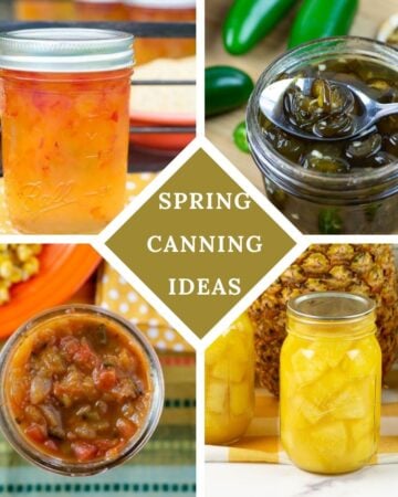 Four image collage of canning recipe for Spring Canning Ideas.