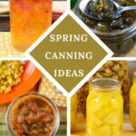 Large collage image of four canning recipes you can make in the Spring.