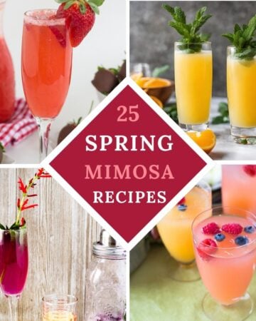 Four Spring Mimosas in a collage of four images.