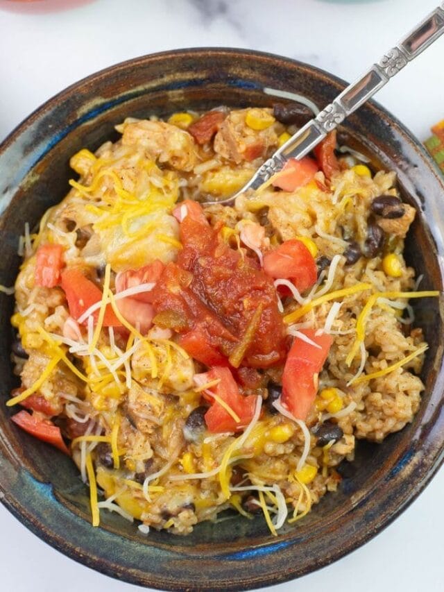 Instant Pot Mexican Chicken and Rice