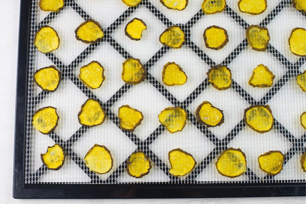 Dried dill pickle pieces on a drying tray.