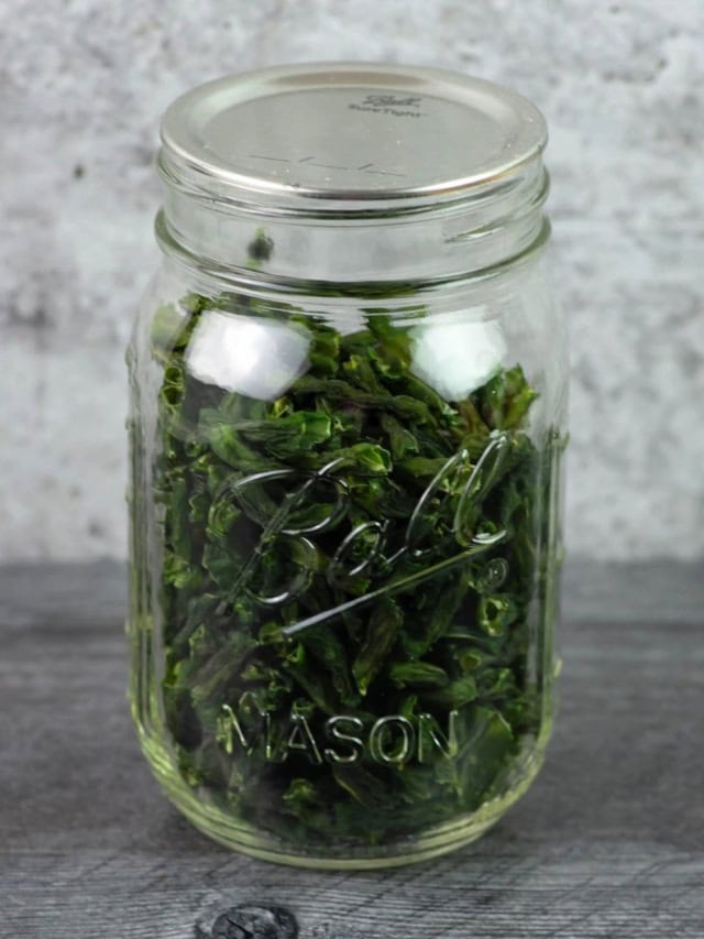How To Dehydrate Fresh Green Beans
