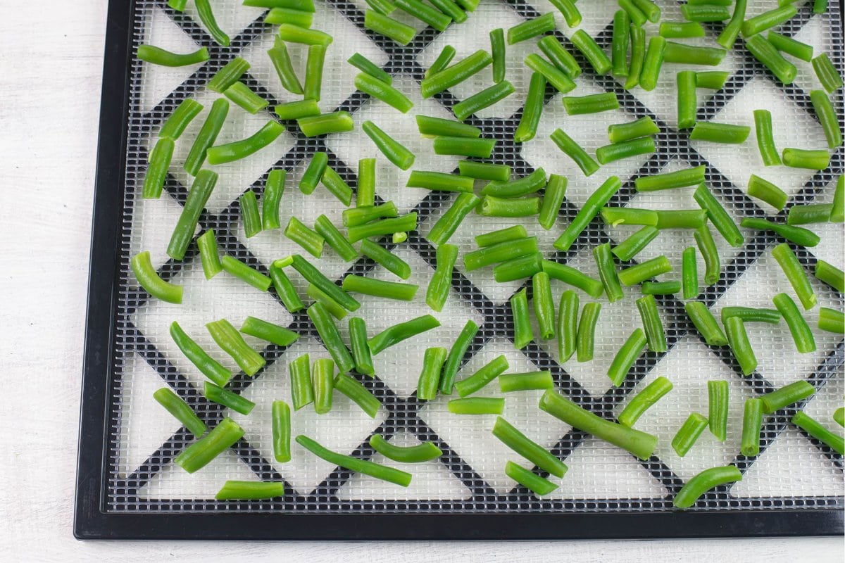 Loaded drying trays before placing in the dehydrator.