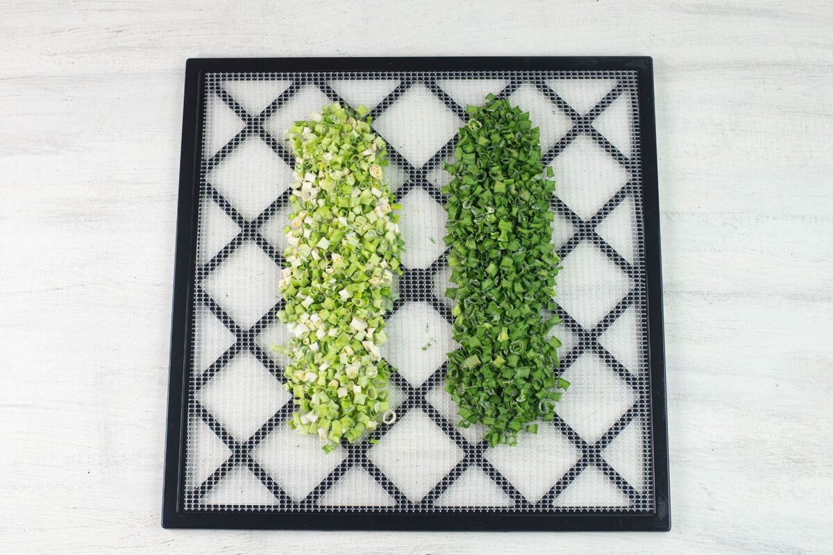 Square dehydrator tray with dried green and white scallion pieces.