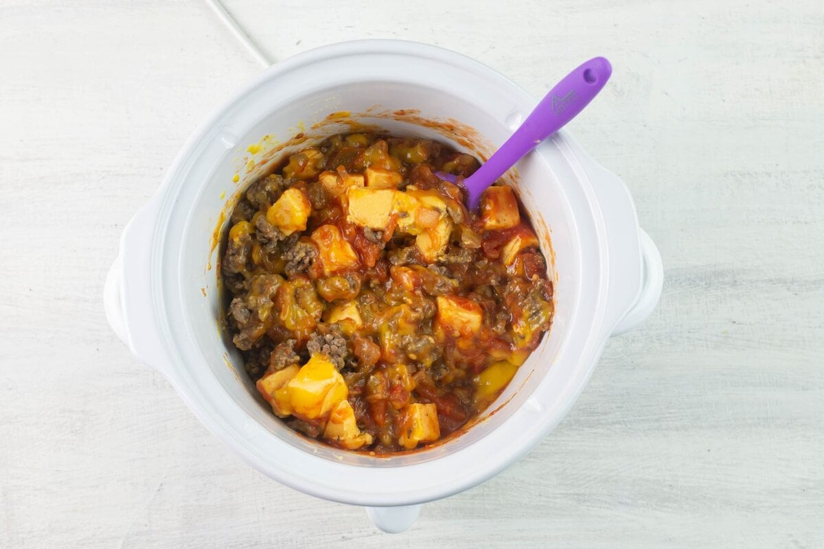 Ingredients in a small slow cooker.