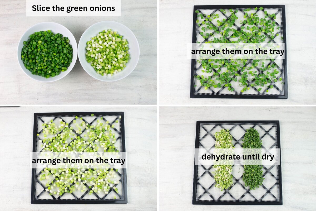 Step by step photo dehydrated green onions.