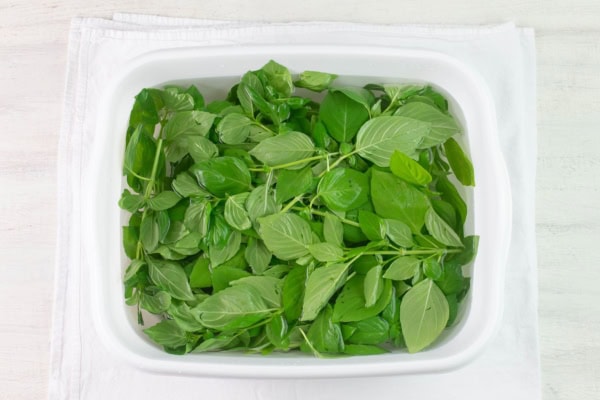 How to Dehydrate Lemon Basil - Flour On My Face