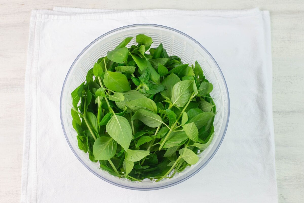 Salad spinner filled with fresh picked and washed lemon basil.