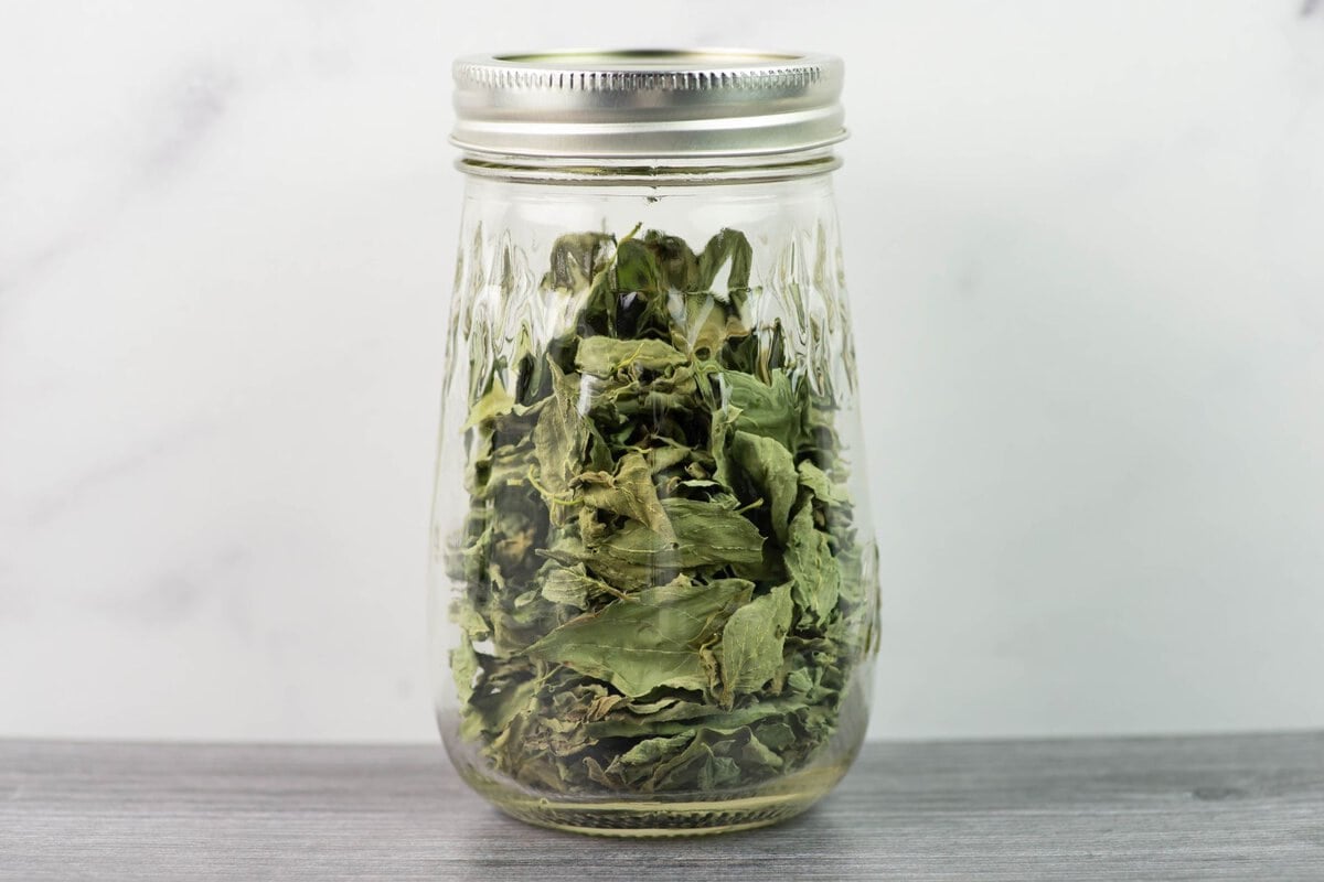Mason jar of dried lemon basil leaves.