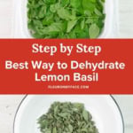 Soaking lemon basil and a picture of the dried leaves.