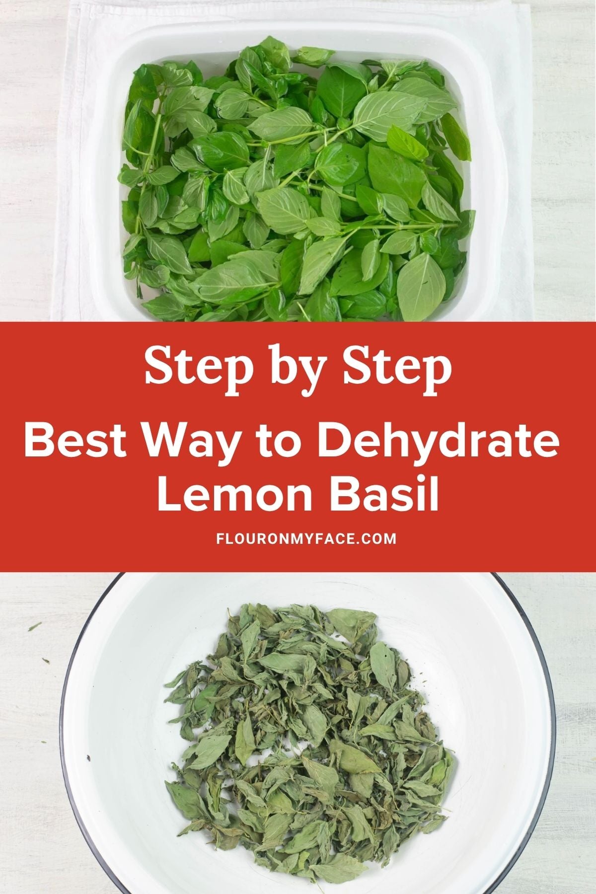 Soaking lemon basil and a picture of the dried leaves.