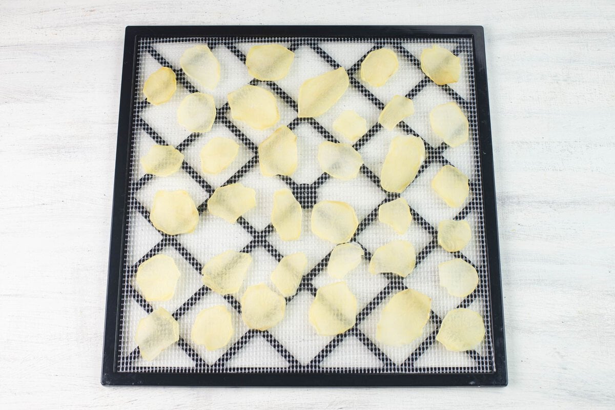 Square tray with rows of dehydrated scalloped potatoes on mesh liners.